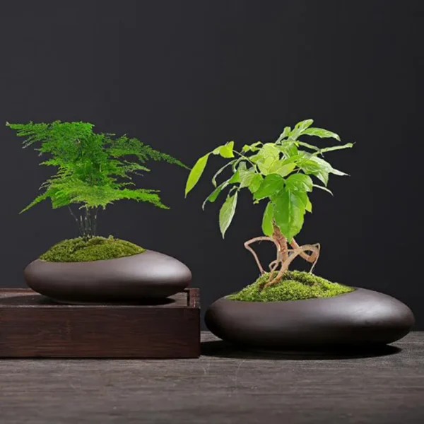 Maceta de arcilla púrpura Retro, maceta de orquídeas de estilo chino, espárragos Viridis, florero transpirable, adornos de escritorio, decoración de jardín